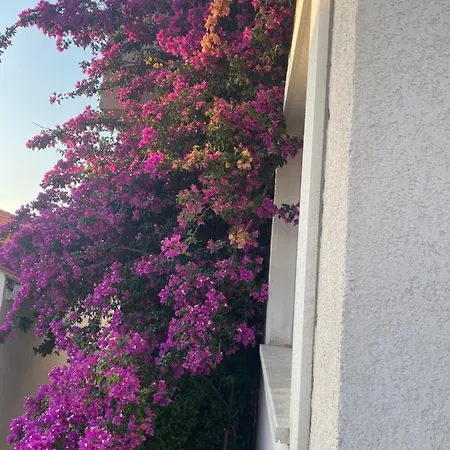 Apartmani Petra I Igor