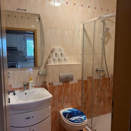 Apartmani Petra I Igor Гостевой дом